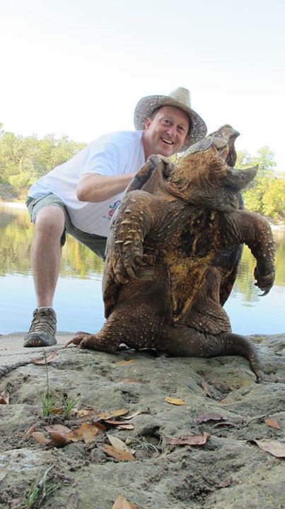 You Have To See This Gigantic 125 Pound Alligator Snapping Turtle (2 pics)