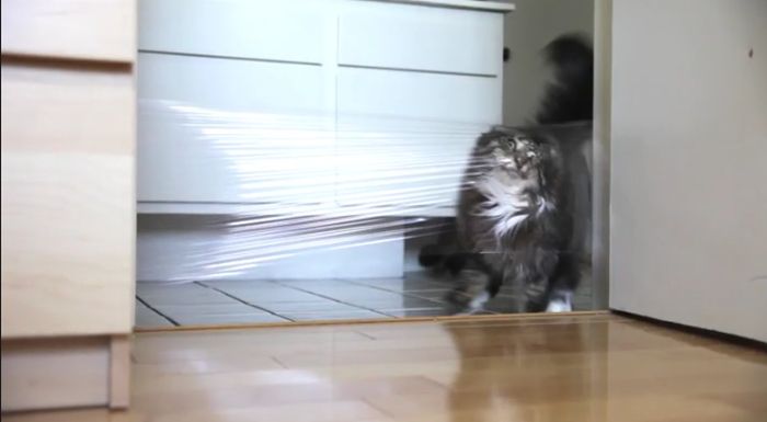 Acid Picdump (90 pics)
