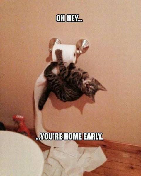 Acid Picdump (90 pics)
