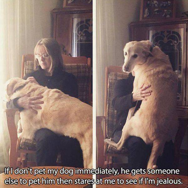Acid Picdump (90 pics)