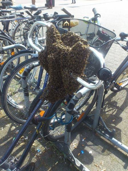 Acid Picdump (90 pics)