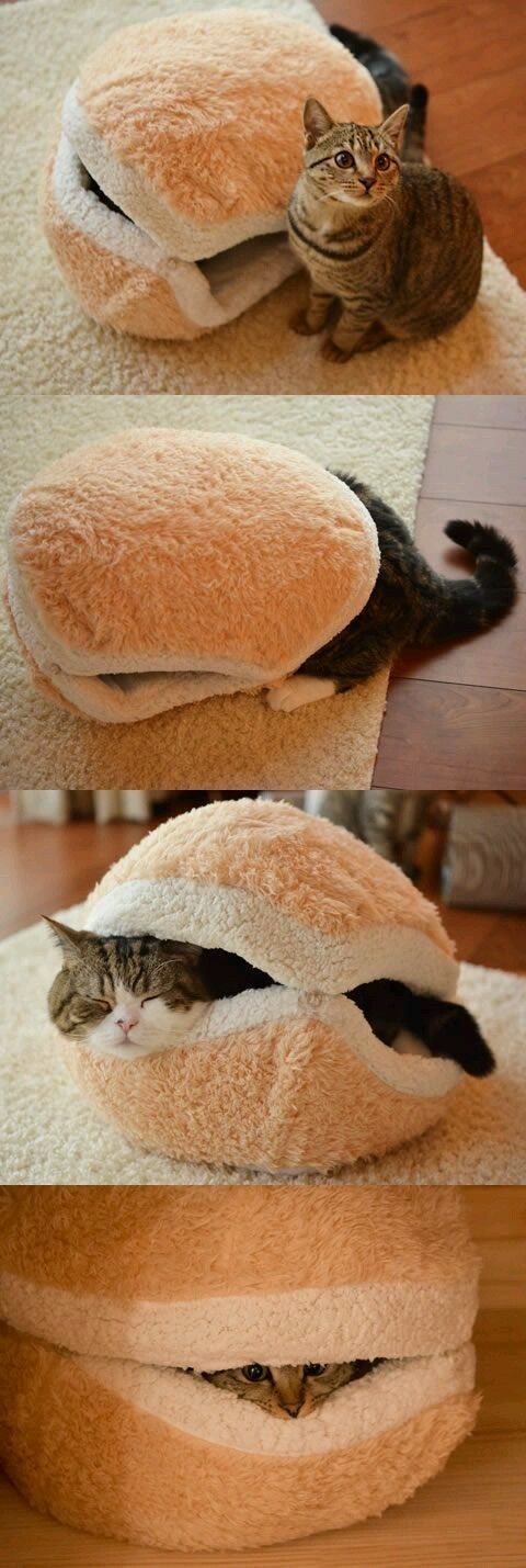 Acid Picdump (90 pics)