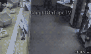 Say Hello To Some Of The Dumbest Criminals Ever (19 pics)