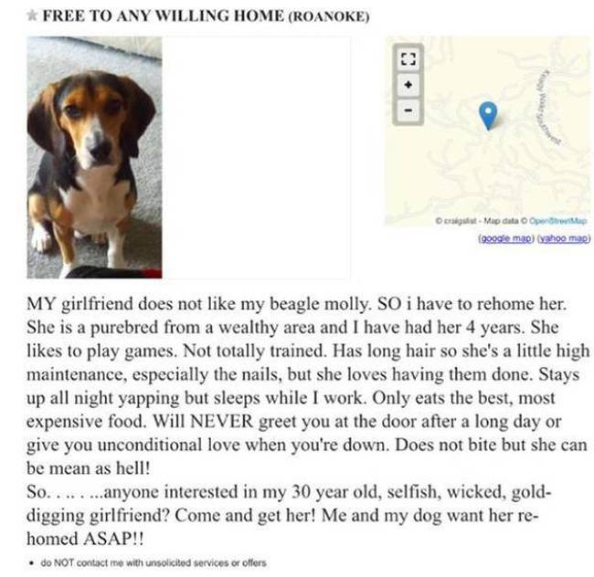 When Your Girlfriend Doesn't Like Your Dog, This Is What You Have To Do (3 pics)