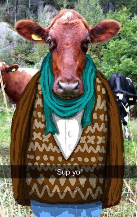 This Person Turned Random Snapchat Photos Into Real Masterpieces (20 pics)