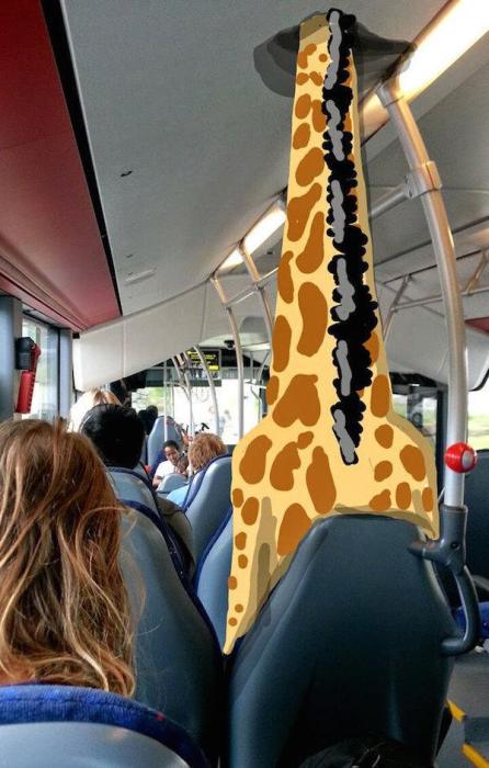 This Person Turned Random Snapchat Photos Into Real Masterpieces (20 pics)
