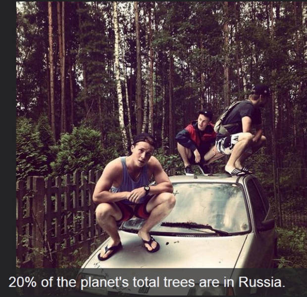 Time To Sit Back And Teach Yourself These Fun Facts (19 pics)