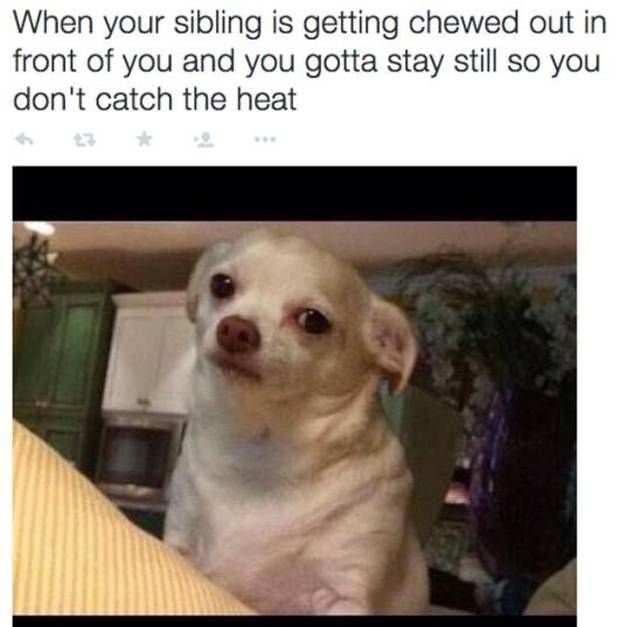 22 Problems All People With Siblings Go Through (22 pics)