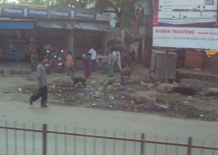 A Real Look At Life In India (40 pics)