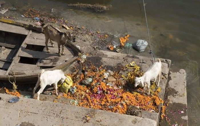 A Real Look At Life In India (40 pics)