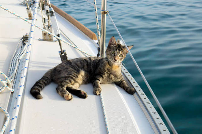This Couple Quit Their Jobs To Sail The World Together (24 pics)