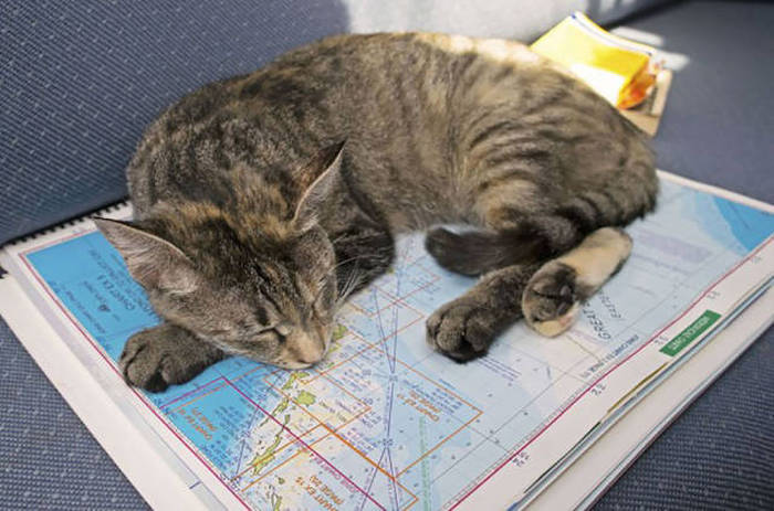 This Couple Quit Their Jobs To Sail The World Together (24 pics)