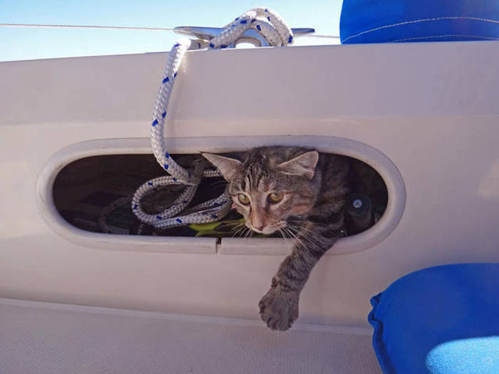 This Couple Quit Their Jobs To Sail The World Together (24 pics)