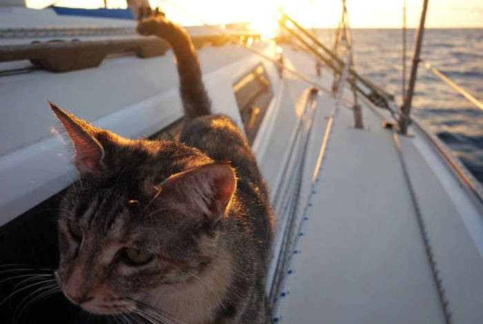 This Couple Quit Their Jobs To Sail The World Together (24 pics)