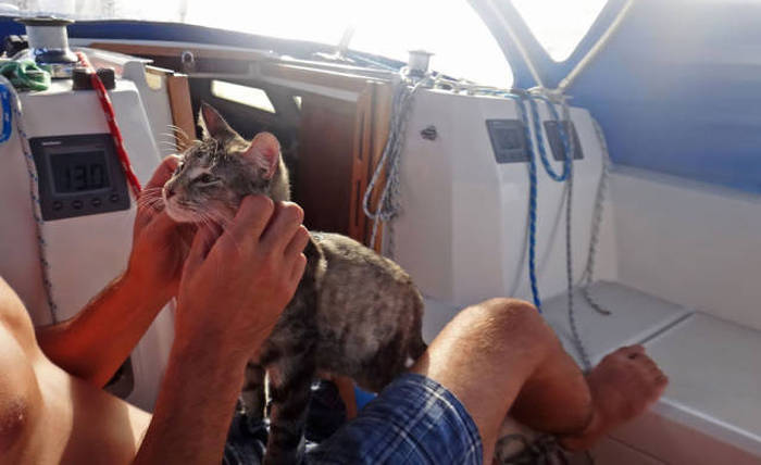 This Couple Quit Their Jobs To Sail The World Together (24 pics)