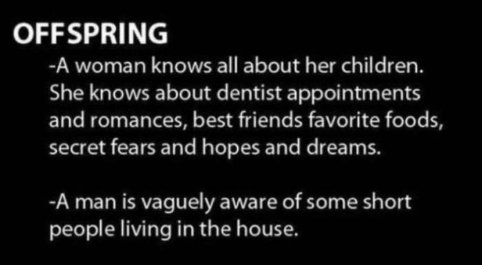 12 Differences That Separate Men From Women (12 pics)