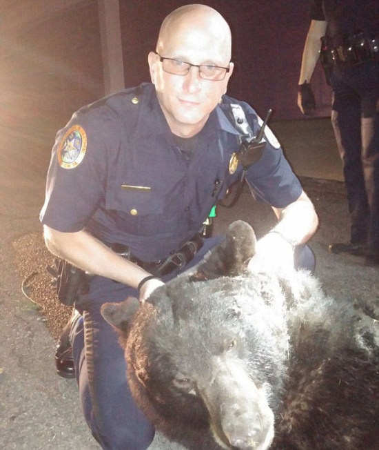 College Party Gets Crashed By Black Bear (5 pics)
