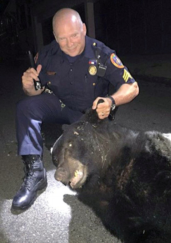 College Party Gets Crashed By Black Bear (5 pics)