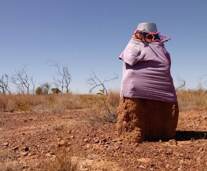 Australian Citizens Are Dressing Up Termite Mounds In Funny Costumes (9 pics)