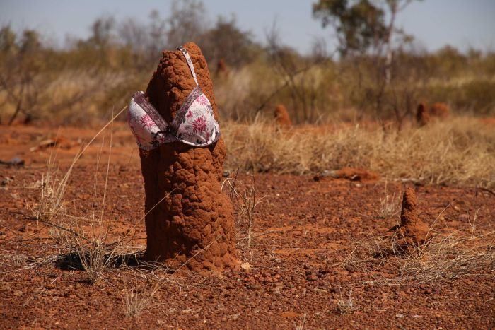 Australian Citizens Are Dressing Up Termite Mounds In Funny Costumes (9 pics)
