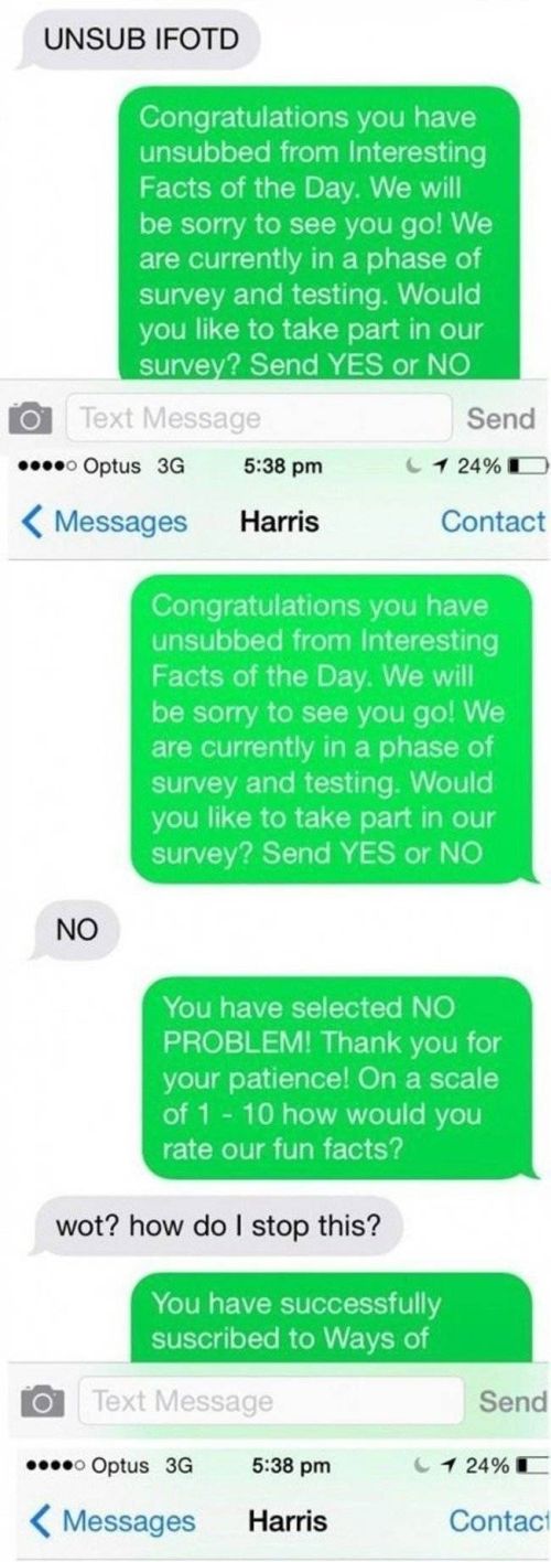 Genius Troll Gives Text Spammer A Taste Of His Own Medicine (4 pics)