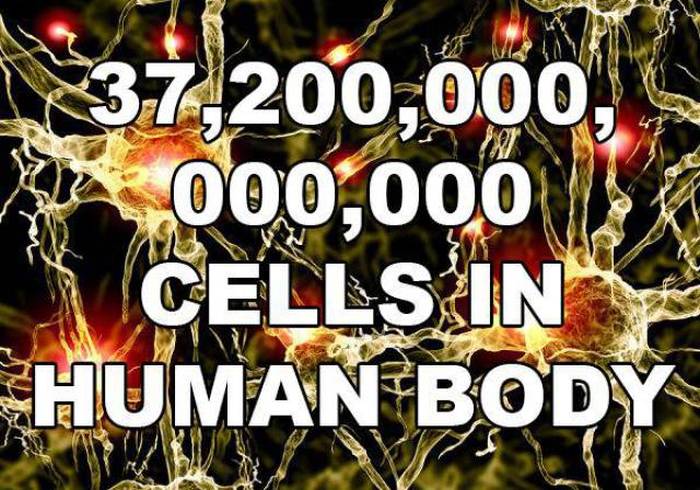 Massive Numbers That Are Really Hard To Comprehend (10 pics)
