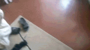 19 GIFs That Show Off Absolutely Perfect Pranks (19 gifs)