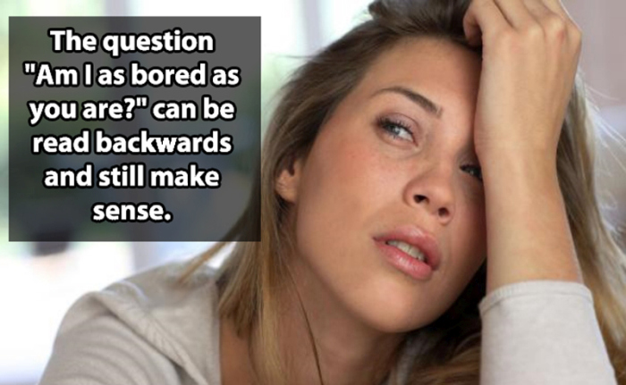 Profound Shower Thoughts That Make Far Too Much Sense (21 pics)