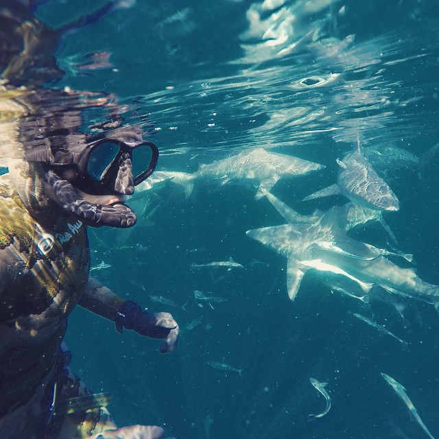 Valentine Thomas Is The Spearfishing Huntress That's Changing The Game (64 pics)