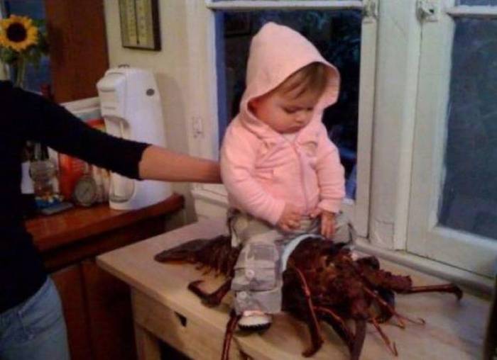 Acid Picdump (98 pics)