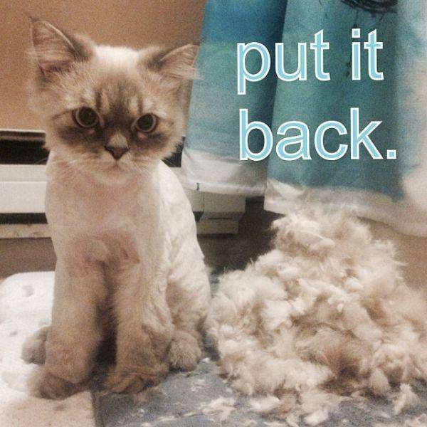 Acid Picdump (98 pics)