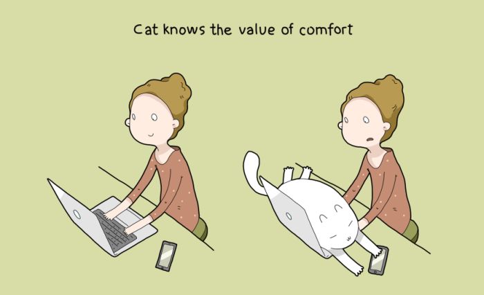 10 Reasons Why Everyone Needs A Cat (11 pics)