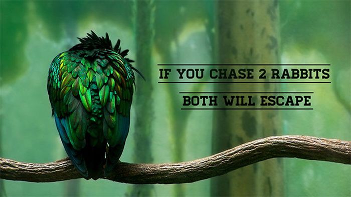 Motivation Pictures. Part 36 (40 pics)