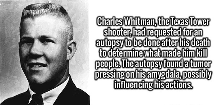 Stop What You Are Doing So You Can Feed Your Brain These Random Facts (20 pics)
