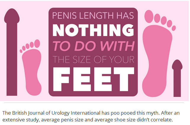 12 Things Every Person Needs To Know About Penises (12 pics)