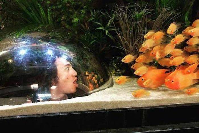 Acid Picdump (100 pics)