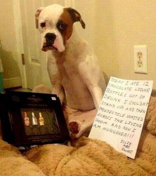 Acid Picdump (100 pics)