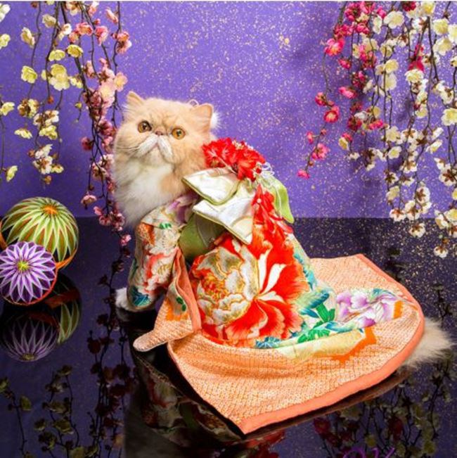 Acid Picdump (100 pics)