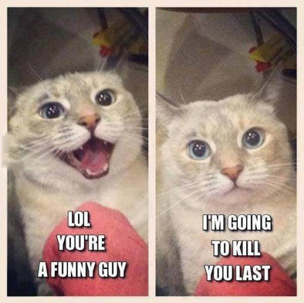 Acid Picdump (100 pics)
