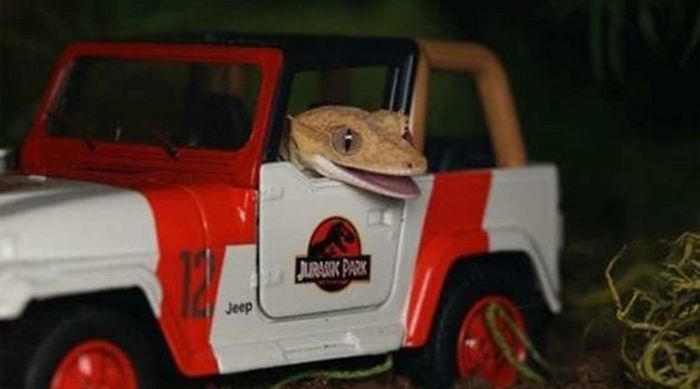 Acid Picdump (100 pics)