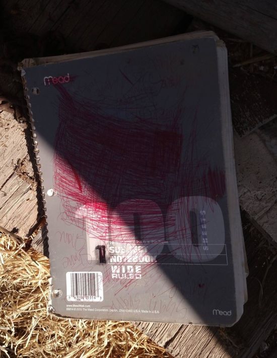 Guy Uncovers Book Full Of Bizarre Messages While Cleaning His Parent's House (7 pics)