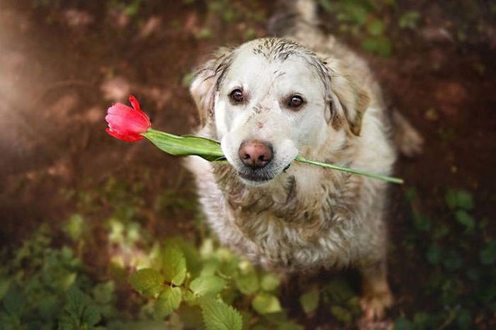 Awesome Photos. Part 44 (44 pics)