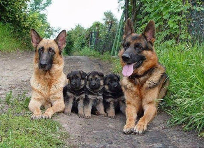 Awesome Photos. Part 44 (44 pics)