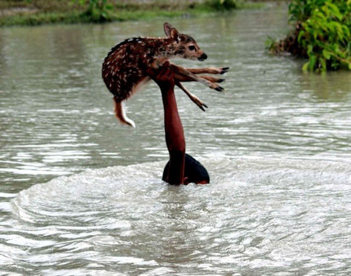 Awesome Photos. Part 44 (44 pics)
