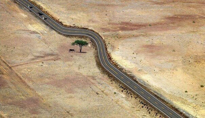 Awesome Photos. Part 44 (44 pics)