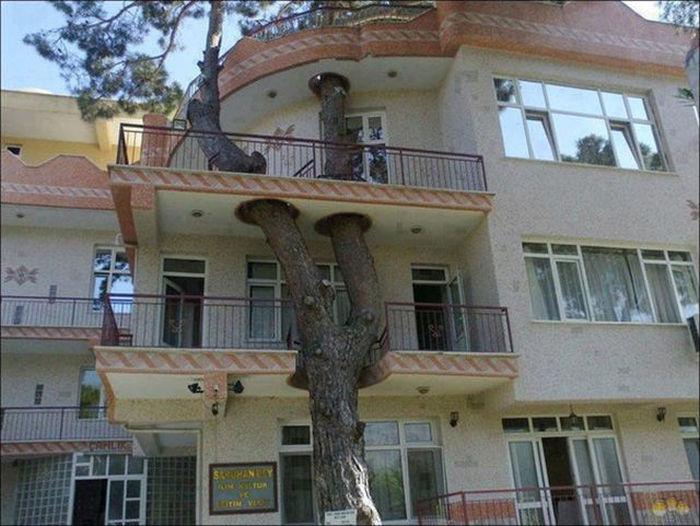 Awesome Photos. Part 44 (44 pics)