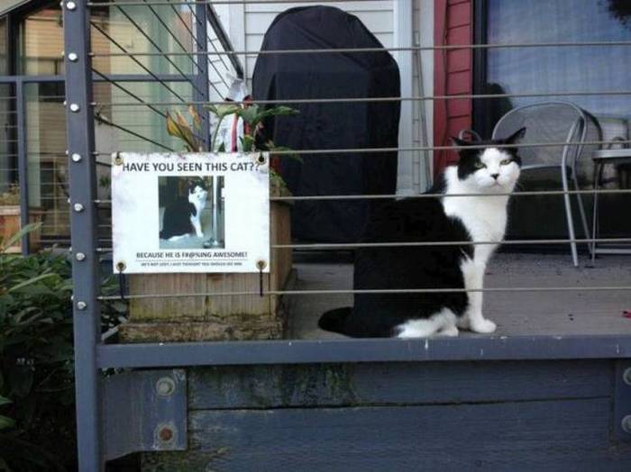 Acid Picdump (98 pics)