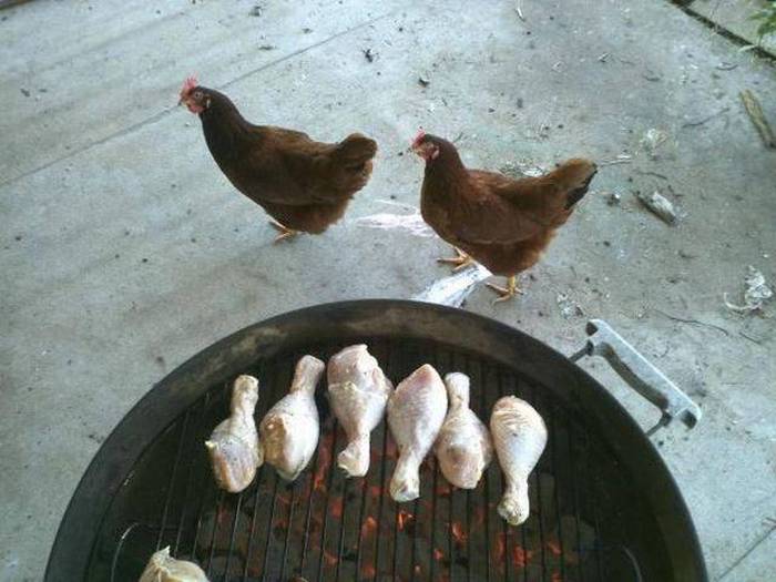 Acid Picdump (98 pics)