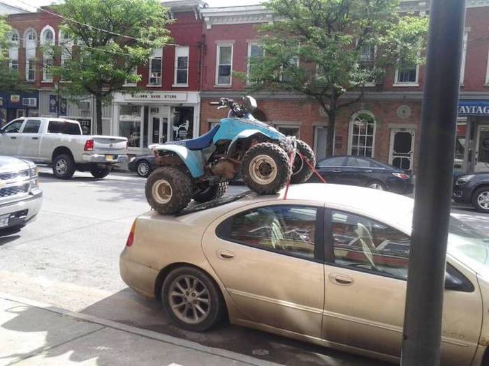 Acid Picdump (98 pics)