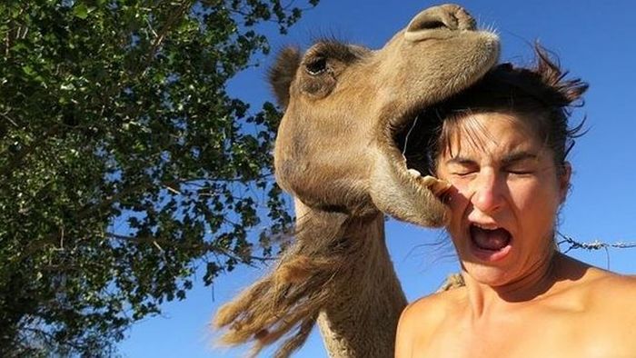 Acid Picdump (98 pics)
